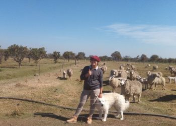 En Salto, un convenio de cooperación permite diversificar la producción hortícola