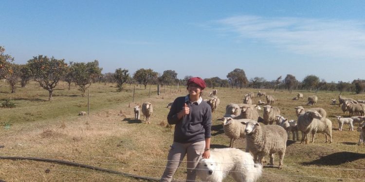 En Salto, un convenio de cooperación permite diversificar la producción hortícola