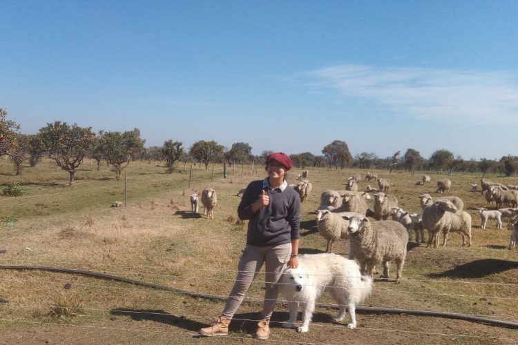 En Salto, un convenio de cooperación permite diversificar la producción hortícola