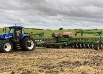 “Con los cultivos de inverno el productor va tomando posición vendedora de lo que va sembrando, a precios actuales”