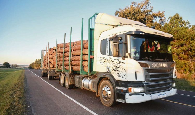 Proyectos que generan polémica