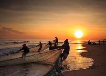 Aproximación a la aurora