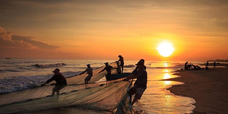 Aproximación a la aurora