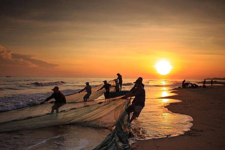 Aproximación a la aurora