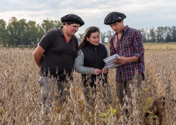Escuela Agraria de Trinidad completó la cosecha de soja con excelentes rendimientos