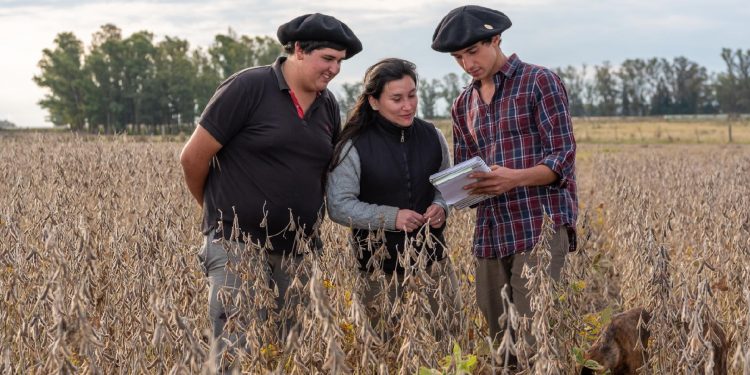 Escuela Agraria de Trinidad completó la cosecha de soja con excelentes rendimientos