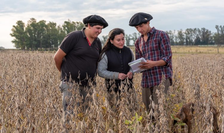 Escuela Agraria de Trinidad completó la cosecha de soja con excelentes rendimientos