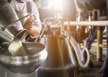 En el año las exportaciones lácteas crecieron 24%