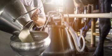 En el año las exportaciones lácteas crecieron 24%