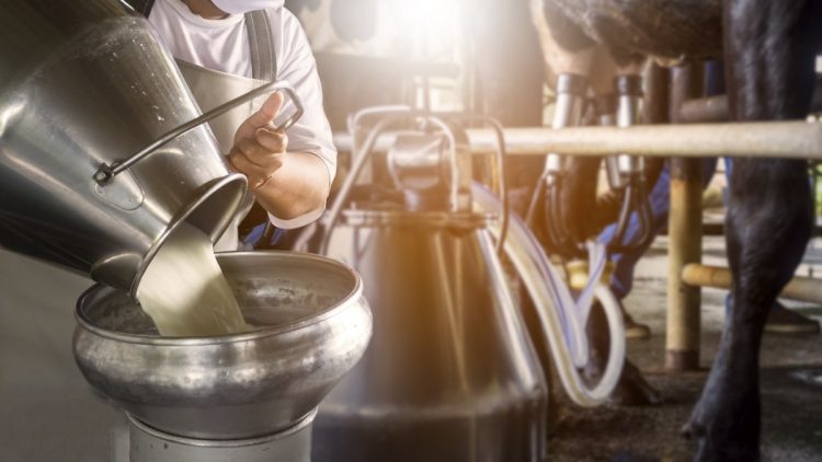 En el año las exportaciones lácteas crecieron 24%