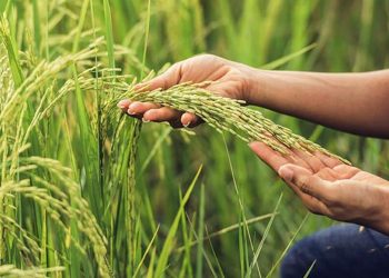 Costos y algo más …