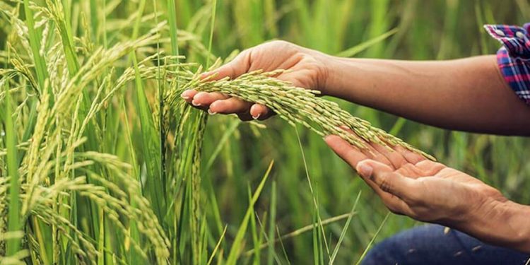 Costos y algo más …