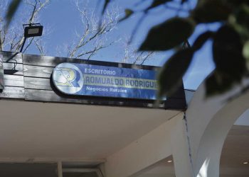 El mercado de ganados “sigue demandado, ágil y firme”