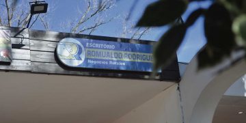 El mercado de ganados “sigue demandado, ágil y firme”