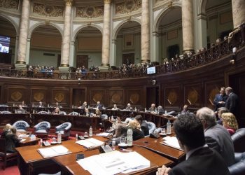 Senado aprobó por unanimidad la minuta de Cabildo Abierto sobre precios de la canasta básica
