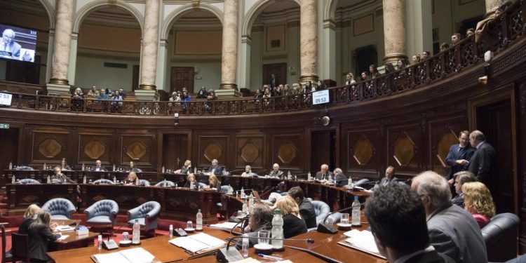 Senado aprobó por unanimidad la minuta de Cabildo Abierto sobre precios de la canasta básica