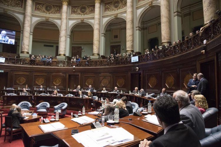 Senado aprobó por unanimidad la minuta de Cabildo Abierto sobre precios de la canasta básica