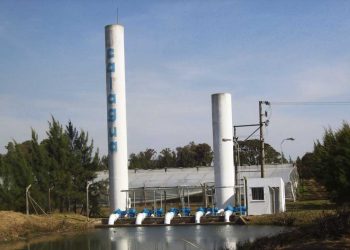 Industria emblemática de Artigas aspira a contribuir en la generación de empleo para su departamento
