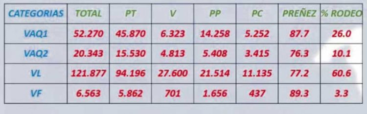La preñez vacuna en el país es del 80%
