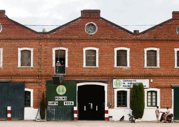 Rebaja arancelaria a la importación de harinas perjudica industria local