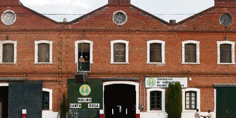 Rebaja arancelaria a la importación de harinas perjudica industria local
