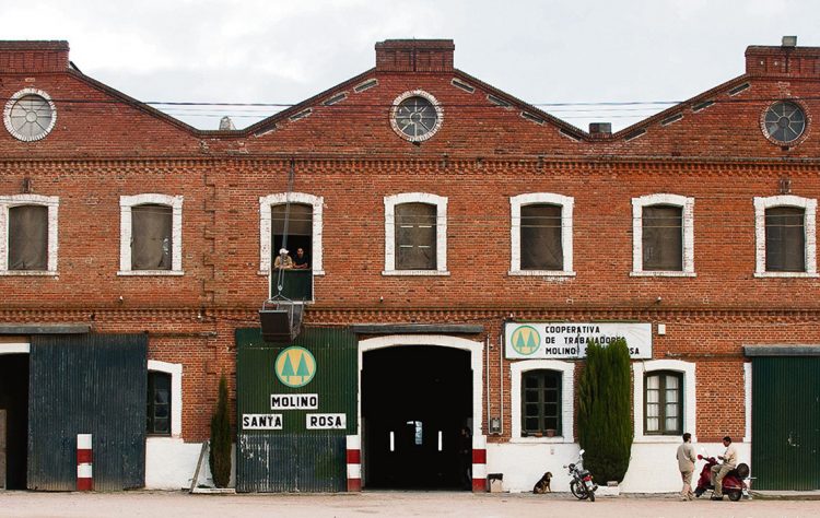 Rebaja arancelaria a la importación de harinas perjudica industria local