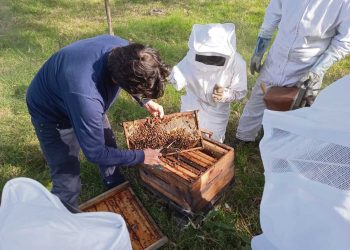 Un camino hacia la rehabilitación de las personas privadas de libertad