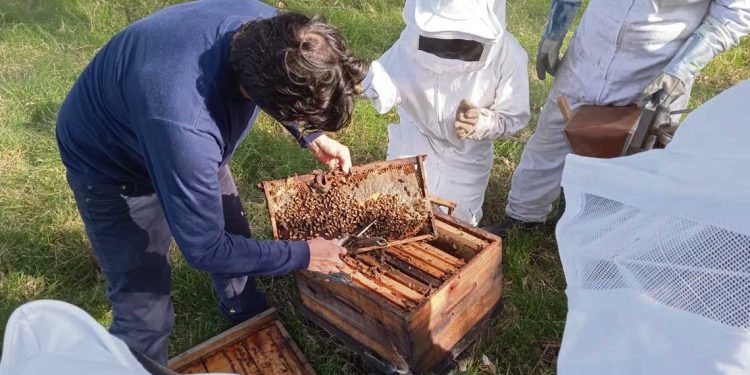 Un camino hacia la rehabilitación de las personas privadas de libertad