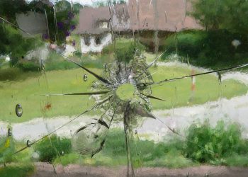 Desprecio por la vida humana