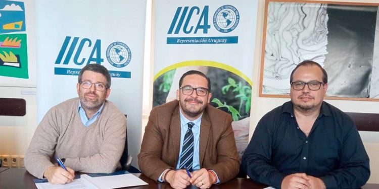 El IICA y CharrúaTV, desarrollarán en conjunto, un amplio plan de divulgación agropecuaria