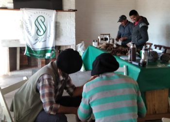 En la semana el precio de la lana bajó a US$ 10,27