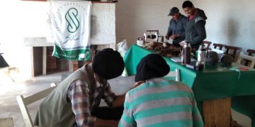 En la semana el precio de la lana bajó a US$ 10,27