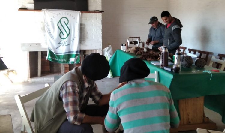 En la semana el precio de la lana bajó a US$ 10,27