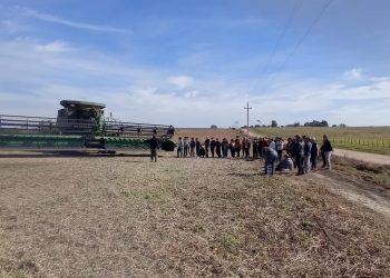 Escuela Agraria de Soriano logró “excelente” cosecha de soja