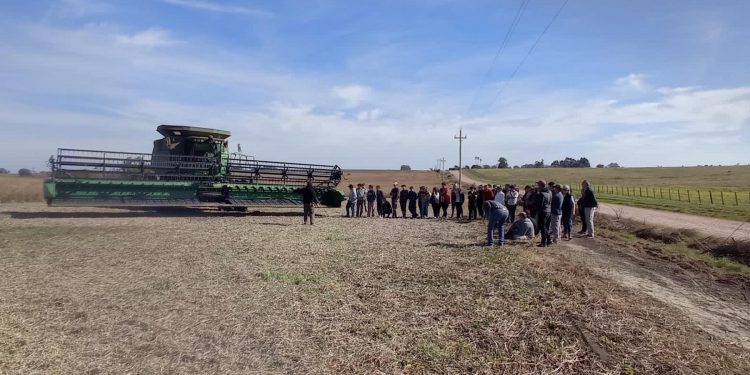 Escuela Agraria de Soriano logró “excelente” cosecha de soja