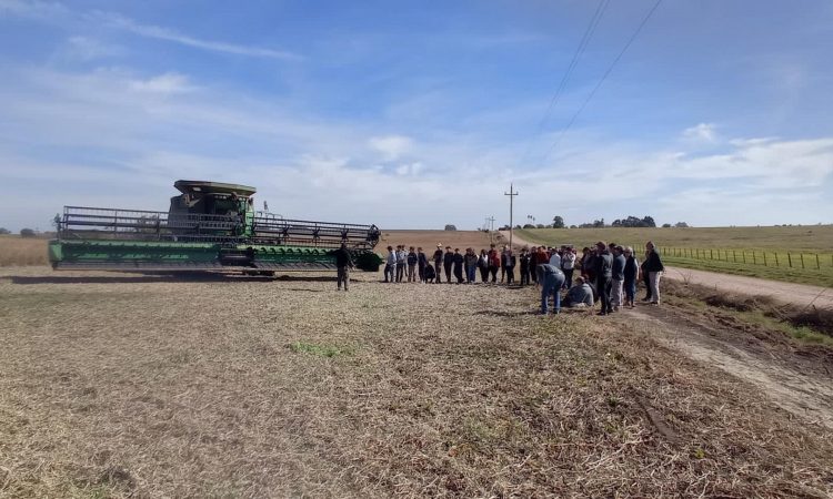 Escuela Agraria de Soriano logró “excelente” cosecha de soja