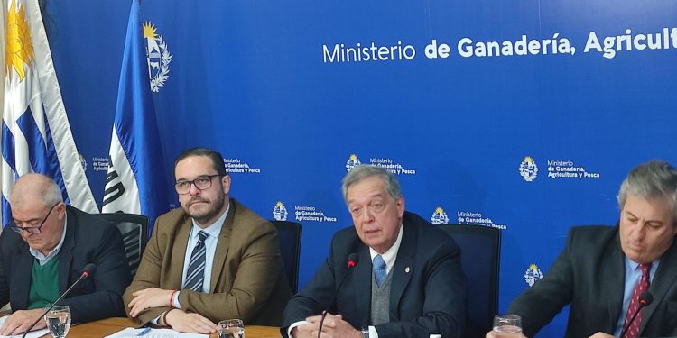 Uruguay habilitó la importación de carne de Brasil