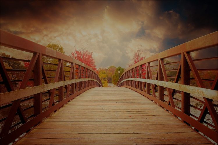 Del Lector: Puentes necesarios entre gobierno y oposición