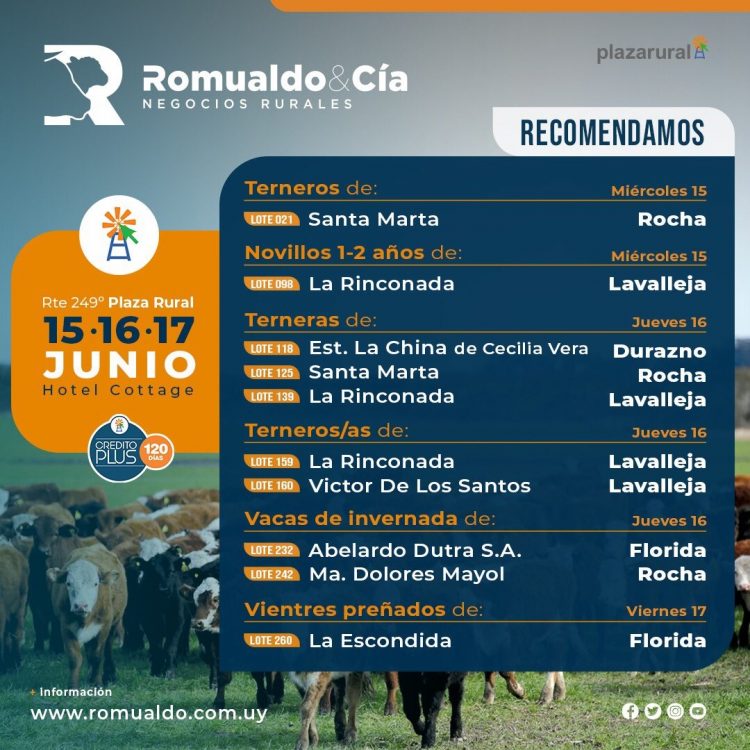 En las puertas de invierno Romualdo & Cía. ofrece una oferta oportuna y adecuada