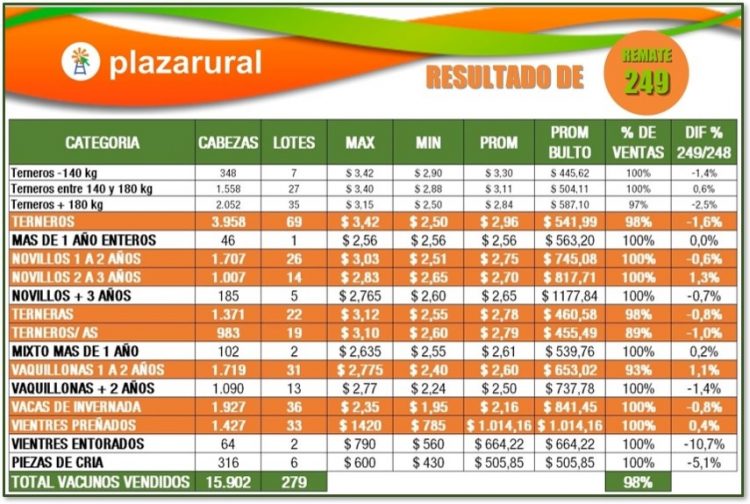 Plaza Rural terminó el remate 249 con el 98% de la oferta colocada