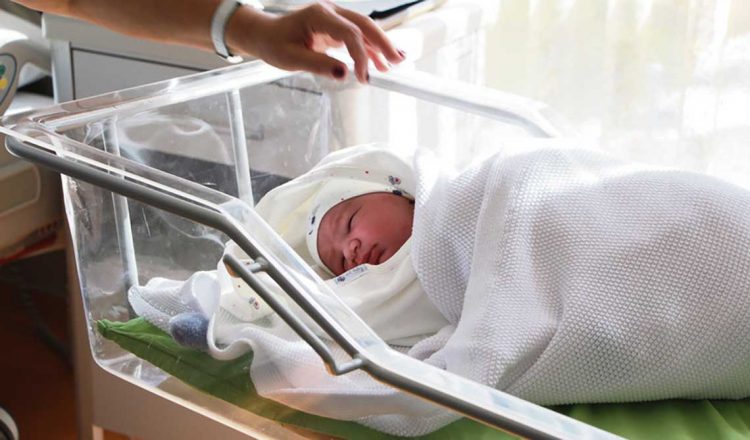 Senado trata proyecto para incentivar la natalidad: ¿en qué consiste?