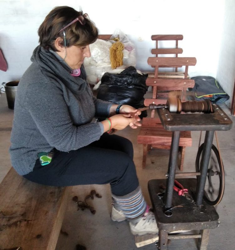 En la semana el precio de la lana bajó a US$ 10,27