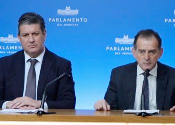 Manini: “Estamos ante una maniobra política que busca desacreditar”