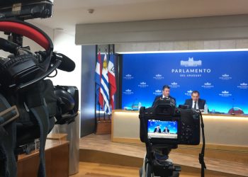 Las razones de Manini