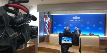 Las razones de Manini