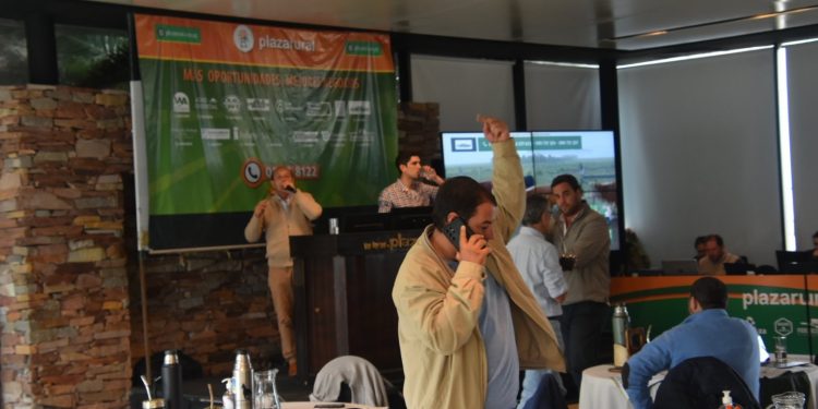Plaza Rural terminó el remate 249 con el 98% de la oferta colocada