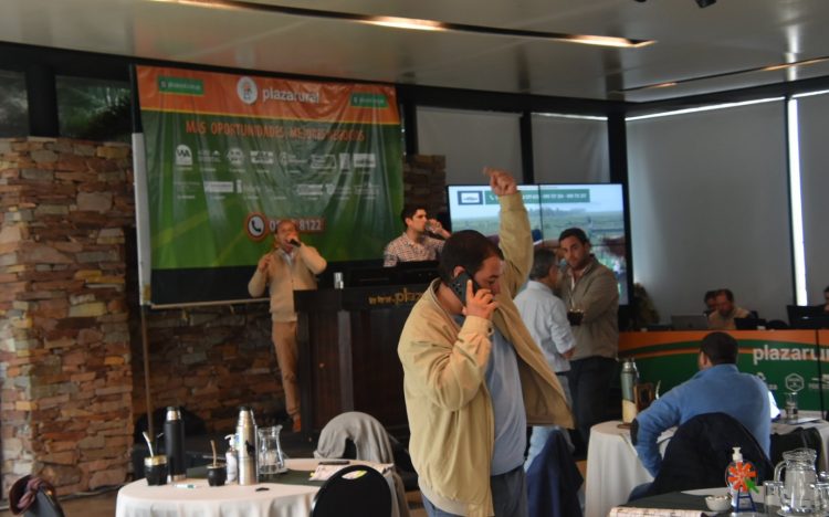 Plaza Rural terminó el remate 249 con el 98% de la oferta colocada