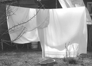 Del lector: Se acerca el fin