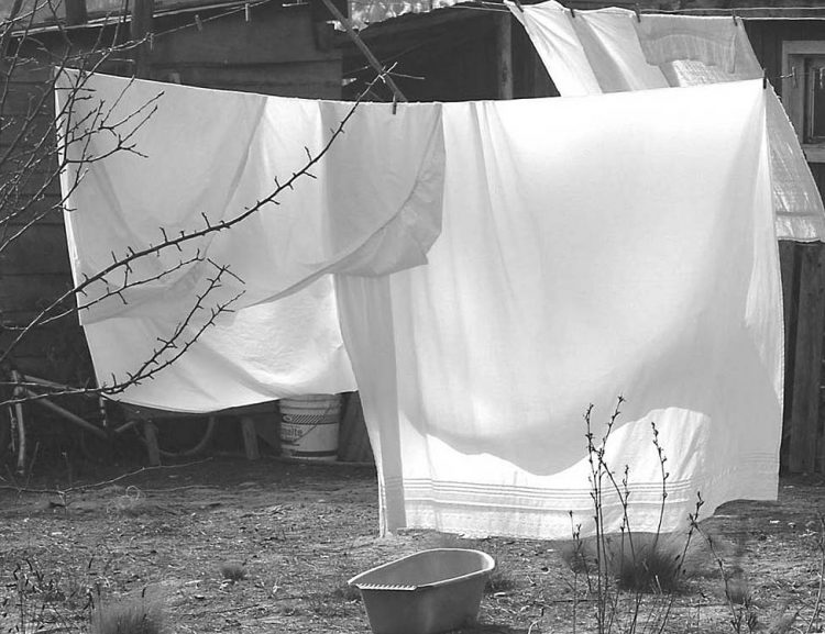 Del lector: Se acerca el fin