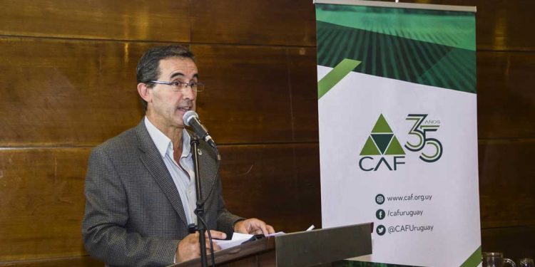 Presidente de CAF celebró el acercamiento del Ministerio de Ganadería con el de Ambiente